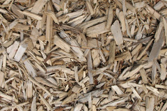 biomass boilers Cockshead
